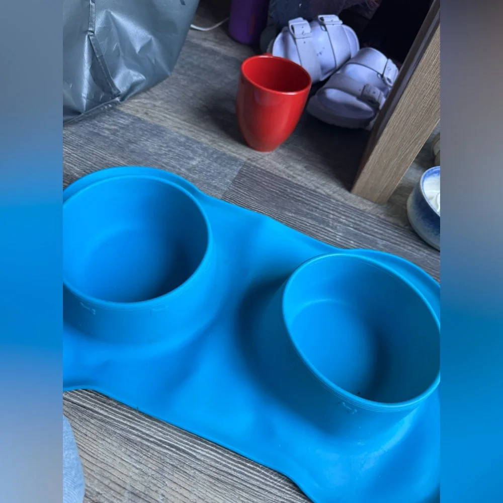 Blue Silicone Pet Feeding Mat with Bowls